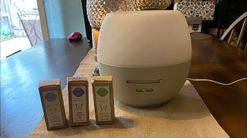 Scentsy - Fleur Gray Diffuser