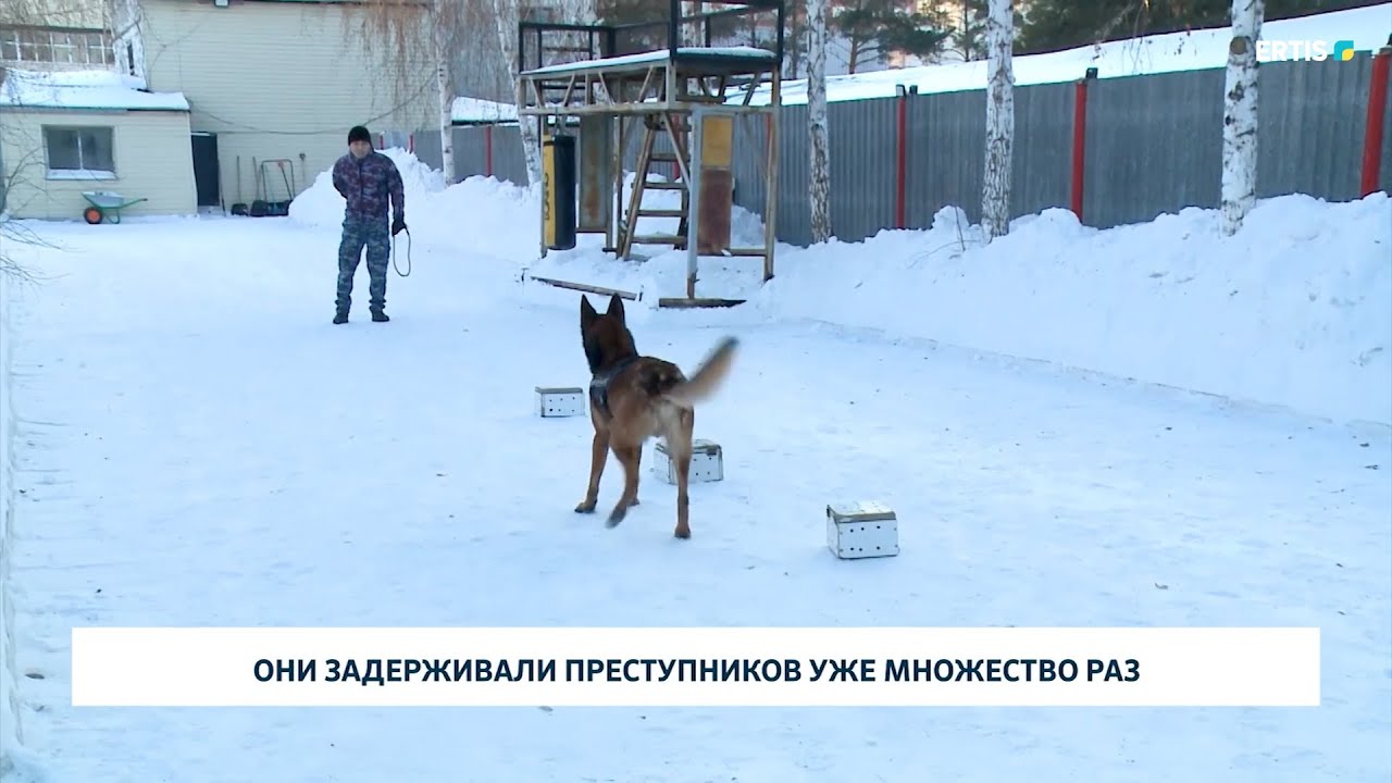 Они задерживали преступников уже множество раз