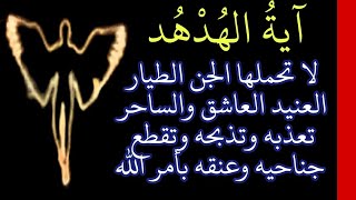 آية الهدهد لا يتحملها الجن الطيار العنيد العاشق والساحر تعذبه وتذبحه وتقطع جناحيه بأمر الله/ابومجاهد