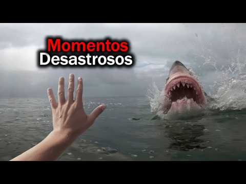 Imagens PERTURBADORAS De Momentos Desastrosos Na Água