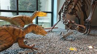 1090228科博館暴龍 迅猛龍(2)