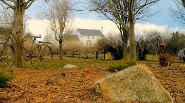 سورة القارعة كاملة القارئ حسام الدين عبادي