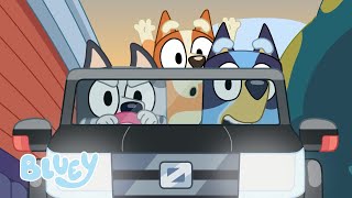 🔴LIVE: Best Road Trips and Car Moments | Bluey Live! | 8 HOURS | Bluey