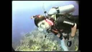 Belize Scuba Dive
