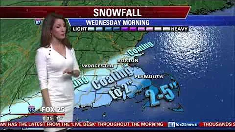 Shiri Spear Elizabeth Hopkins WFXT Fox 25 01 2014a