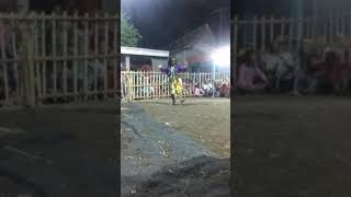 #solah ratu celeng gembel #erina