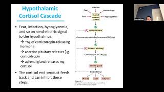 Lecture 23A
