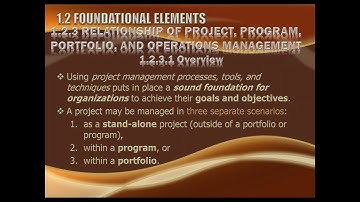 Relationship Of Project Program Portfolio and Operations Management