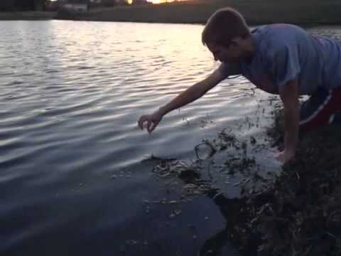 camera iphone 8 plus apk Slow Motion Bass Feeding!