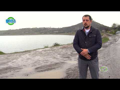 GDS დილა - თბილისში ველორბოლის საერთაშორისო მედია ტურნირი გაიმართება, გეგი კიკაბიძე