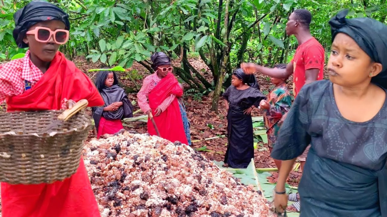 THE FAMILY PROPERTY (Abusua Agyapade3) _Eii Agyaaku and Awesoa Vs Ante Kama 😂😂😂