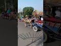 Melodi Kuku Kuda: Harmoni Tradisi di Tengah Modernisasi ✨