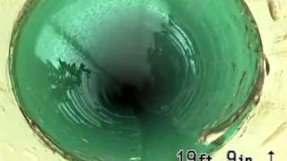 1523 S Cedar St, Tacoma WA 98405