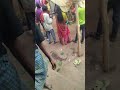 ghasiya baja?????!!!!!