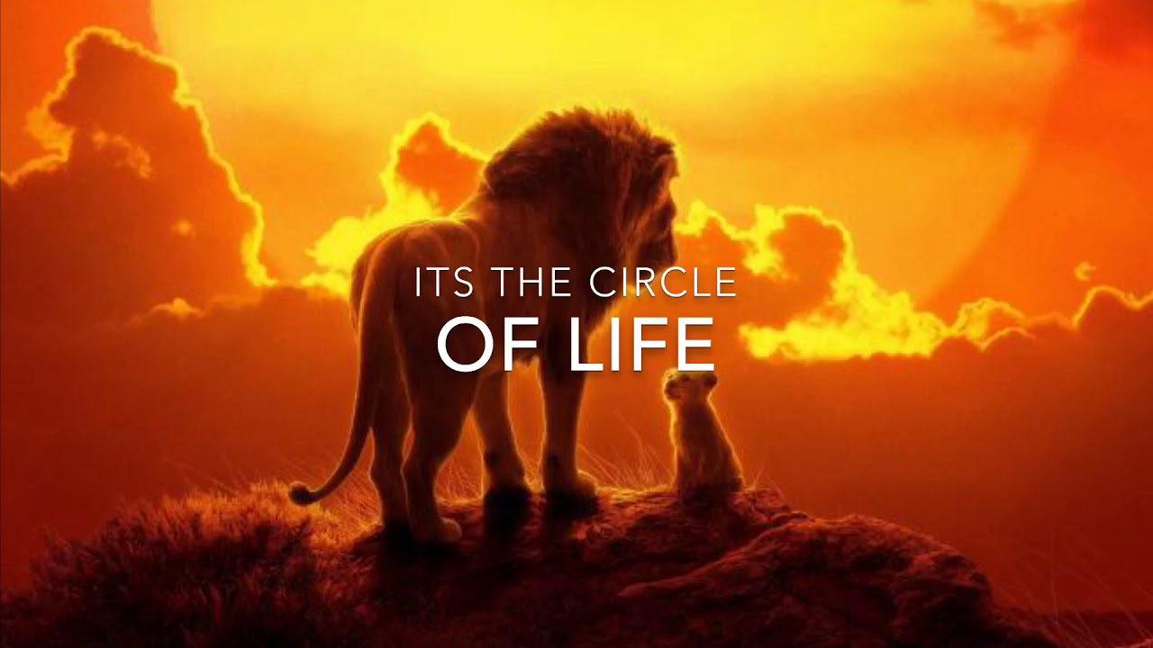 The circle of Life Lion King Lyric YouTube