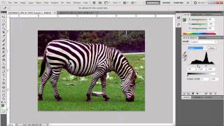 Photoshop Quick Colour Cast Removal Technique