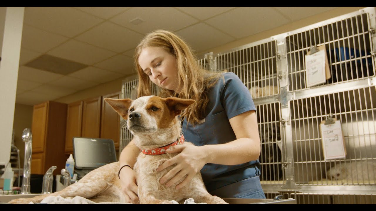 Flanary Veterinary Clinic - Dr. LaNita Flanary - Paducah KY