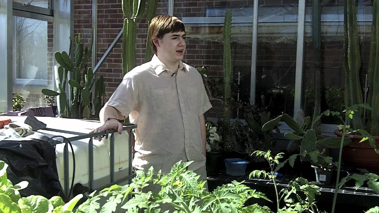 Vermiculture and Aquaponics YouTube