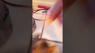 Yes We Canillynoo Your Not Hits Her And Illy Is A Stupid Nameelizailly