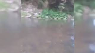 Tomando Banho No Rio