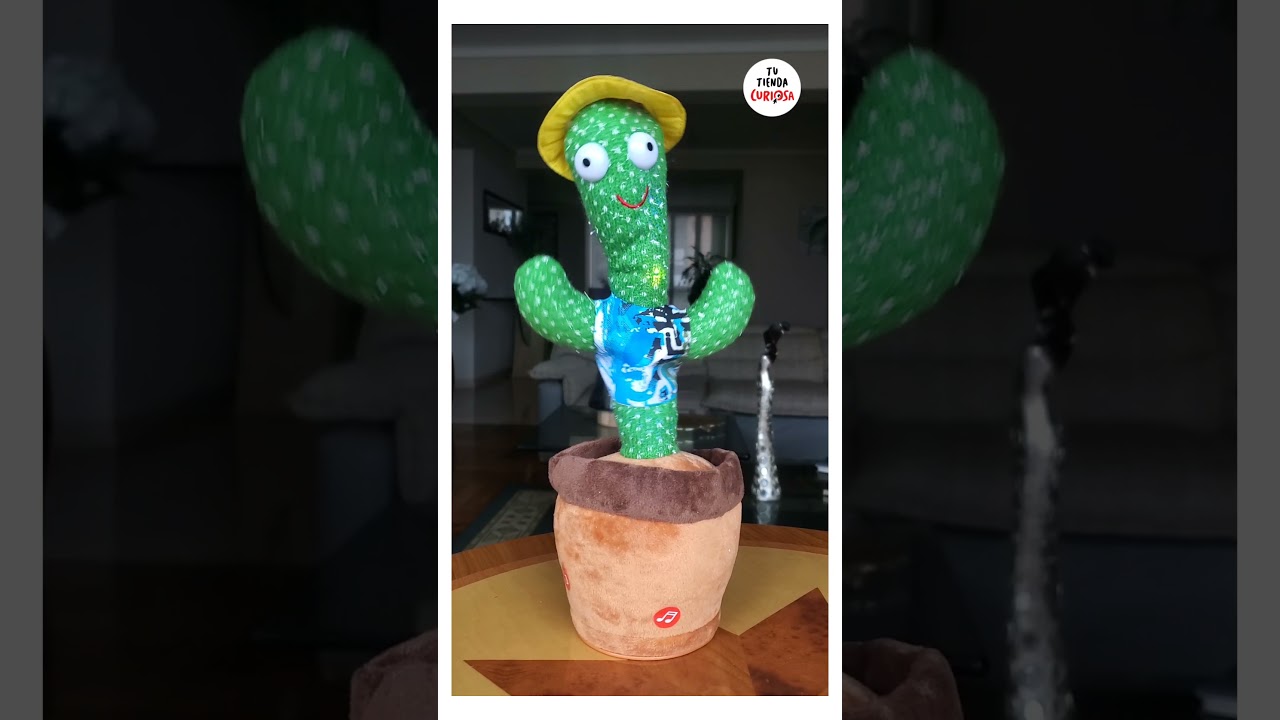 CACTUS BAILARÍN VIDEO