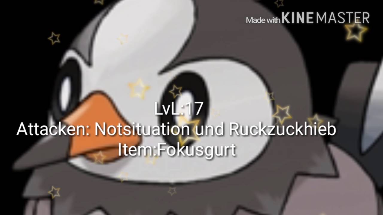 Staralili stärker als man denkt