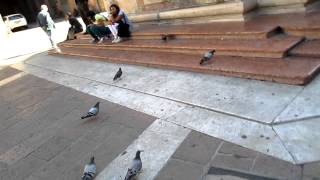 On my way to Plaza Maggiore, Bologna Italy