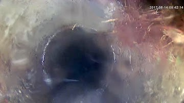 IDTec USA C70 Video Nozzle Jetting Uphill finding Roots