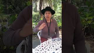 🌗🌀El Buen vivir - Sumaq kawsay según  Melania Canales Poma 🌍🌈