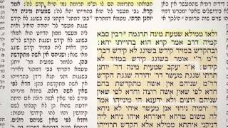 מסכת קידושין דף נ"ג 53