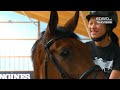 First Longines World Equestrian Academy clinic with Ludger Beerbaum - EQWOtv