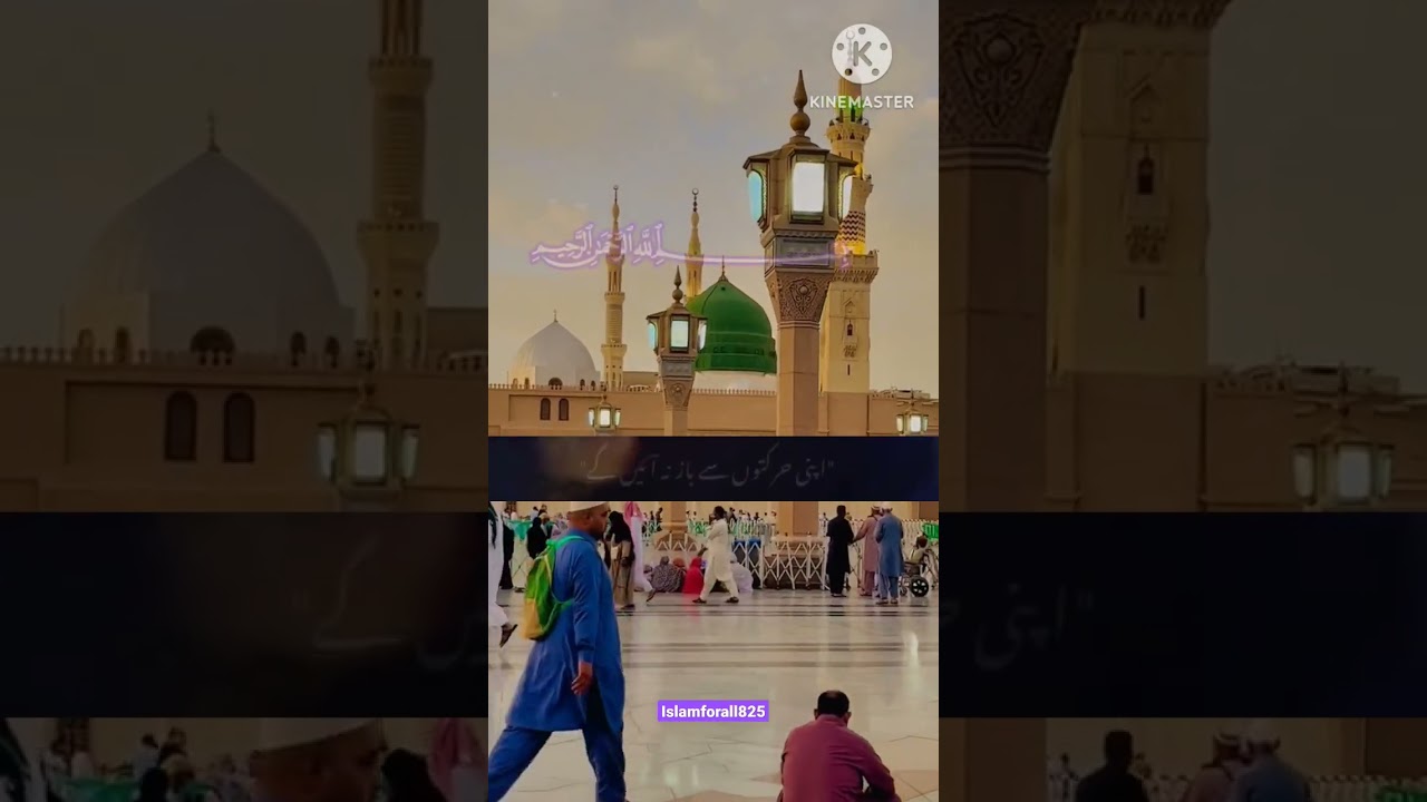 Islamic Bayan video status #islmicvideo #bayan #ytshorts #shrots #islamforall825