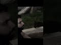 ه ذ ا خ ل ق الل ه قران كريم سورة لقمان تلاوة خاشعة اكسبلور ه ذ ا خ ل ق الل ه قران كريم سورة لقمان تلاوة خاشعة اكسبلور
