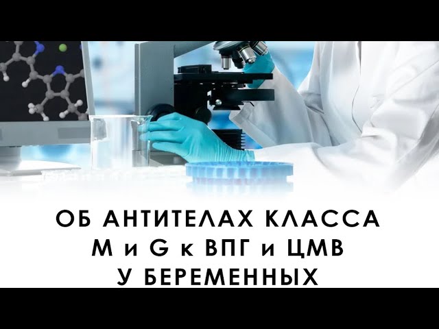 Об антителах класса М и G к ВПГ и ЦМВ у беременных