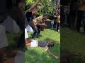 Proposal Floors Future Fiancé ViralHog 