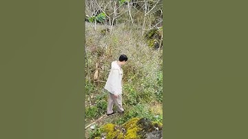 Chữa viêm xoang dùng ngay cây này | Trần Hoàn Hải #shorts