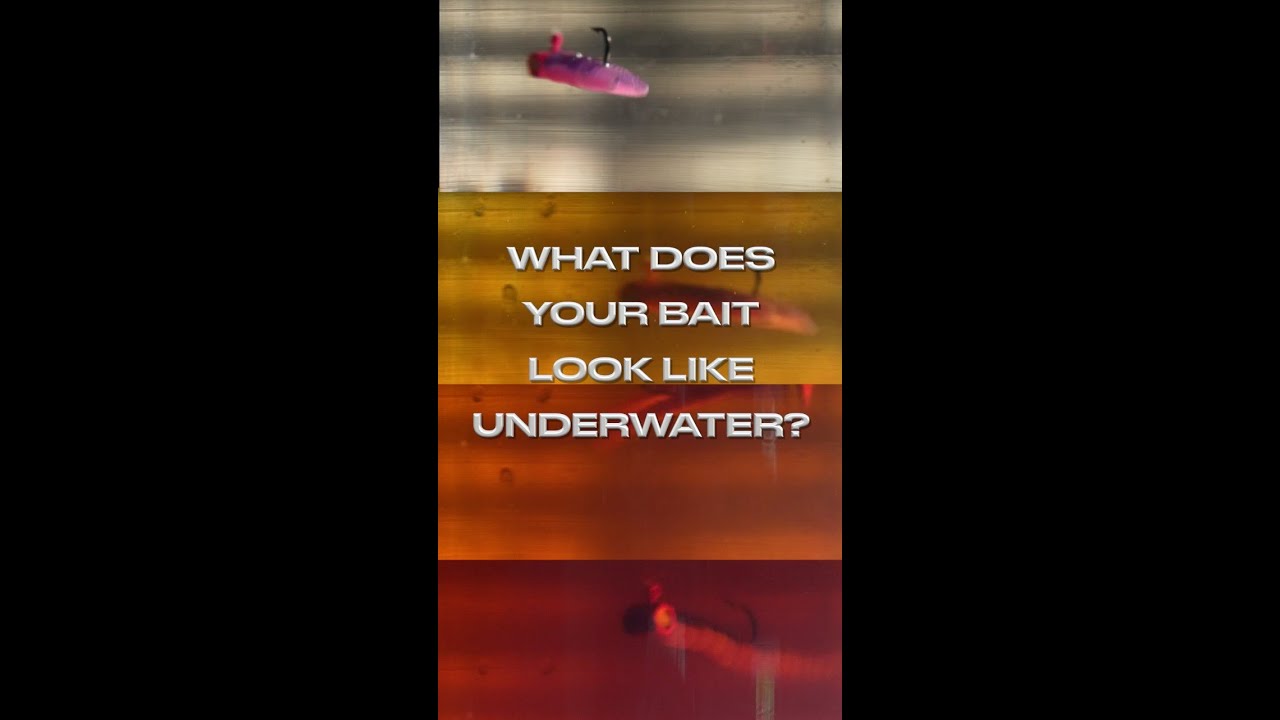 Underwater Visibility