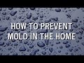 How to Prevent Mold in The Home