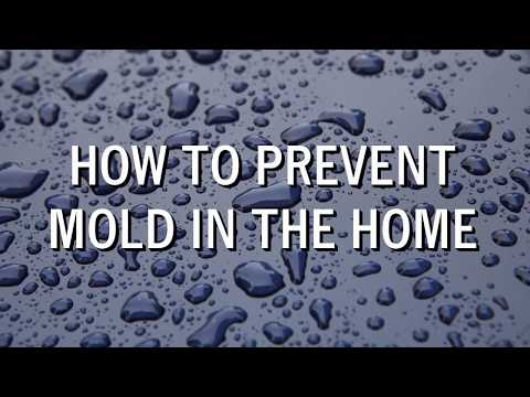 How to Prevent Mold in The Home