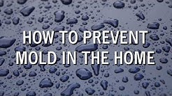 How to Prevent Mold in The Home