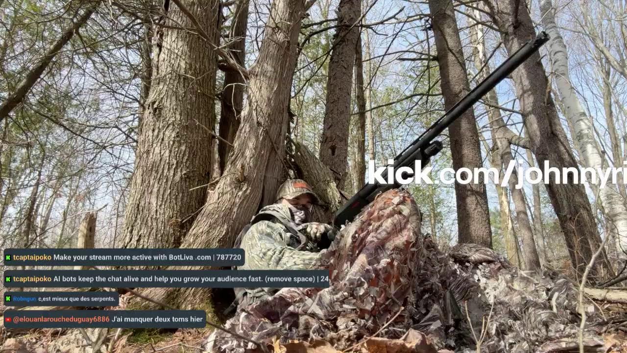 Run and gun chasse dindon live