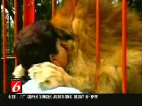 video phone beyonce mp3 Lion hugs his rescuer - Amazing footage of a lion that hugs and kisses his rescuer