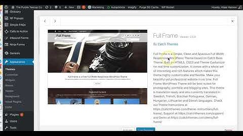Deleting extra themes from WordPress Website