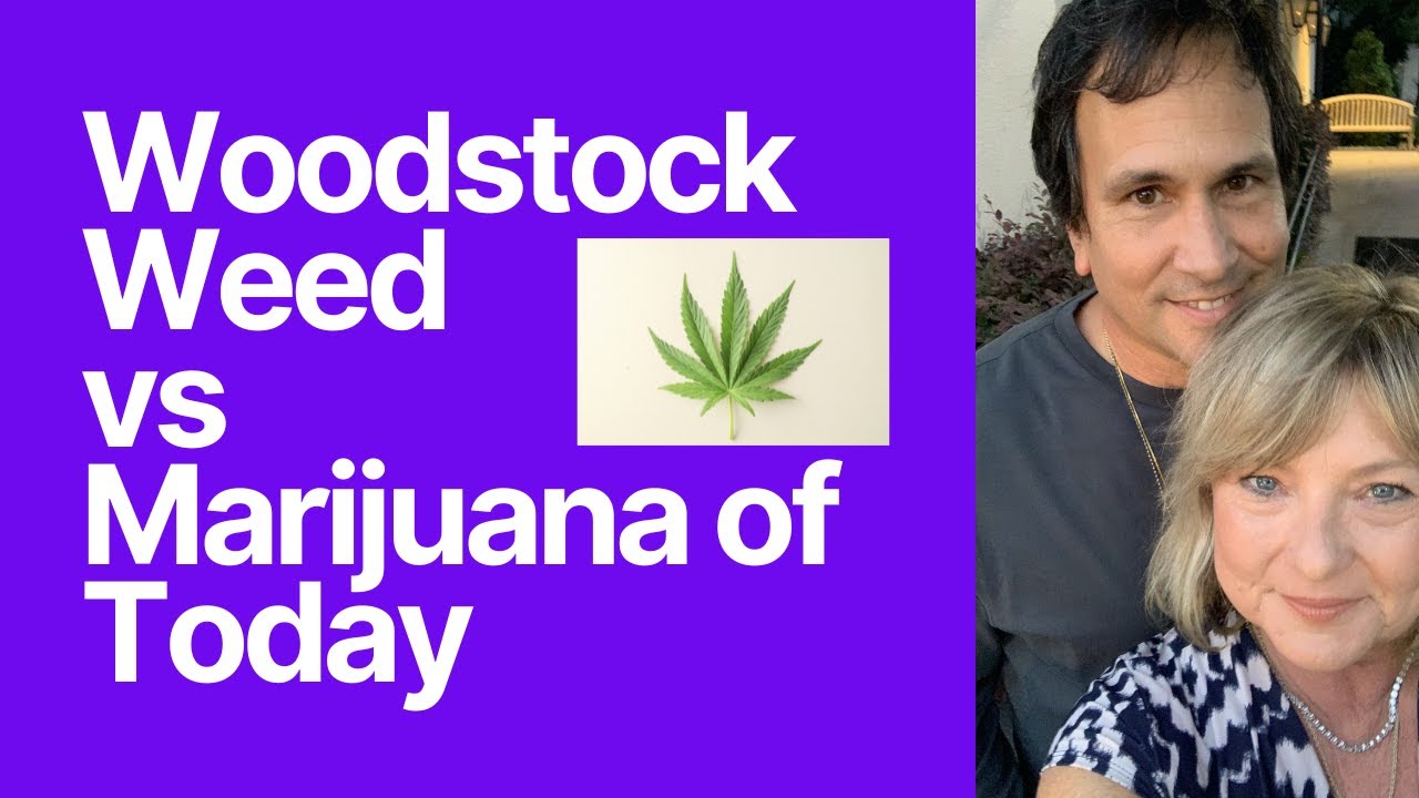 Marijuana: Woodstock Weed vs High Potency THC Pot of Today