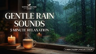 Soft Rain in the Woods (5-Minute Quick Pause) screenshot 3