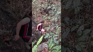 The path in the wild forest is really difficult. #nature