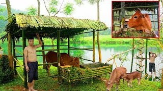 Primitive Life Leave the city, avoiding diseases, Build Amazing House For Cows, Green Life Skills