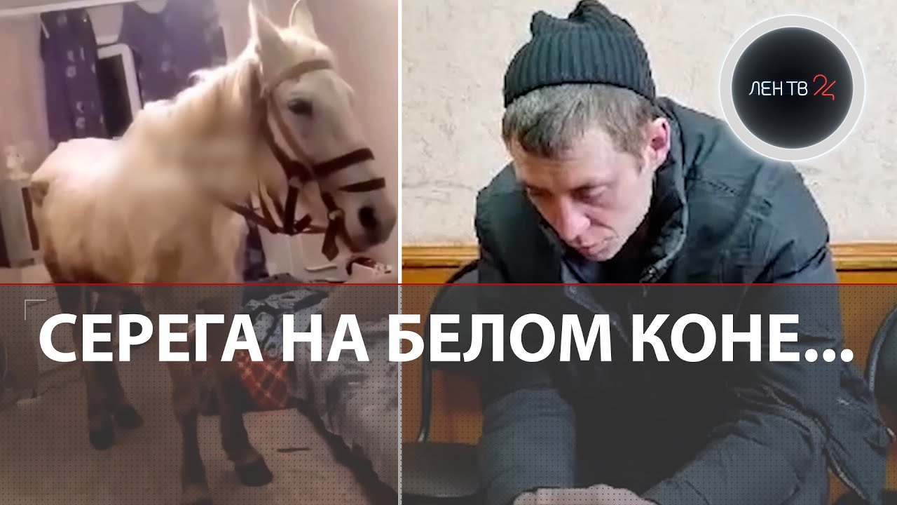 На коне в спальню к жене | Пьяное поздравление Сереги обернулось арестом и потерей квартиры
