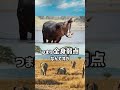 バカなカバ【ぴえん過ぎる生き物紹介】#shorts