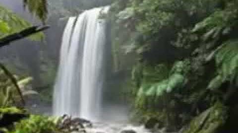 سورة النبأ مشاري العفاسي